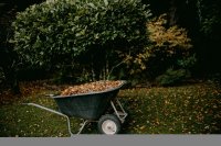 Herfstbladeren zijn gratis mulch voor je moestuin