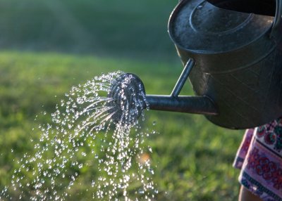Zo houd je je tuin groen tijdens een droge mei