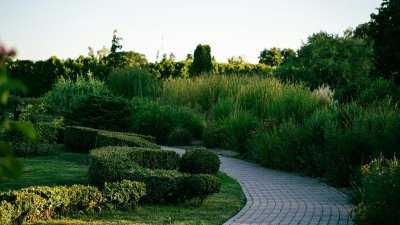 Waarom je tuin dit najaar ineens rond wordt