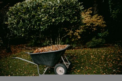 Herfstbladeren zijn gratis mulch voor je moestuin